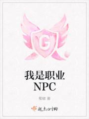 我是职业的